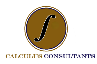 calculus consultants